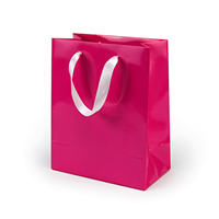 Sac de rangement extérieur en papier couché souple avec design imprimé UV personnalisable pour emballage et utilisation en extérieur