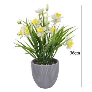 Fiori di narciso realistici per composizioni decorative moderne primaverili - Product Image 4