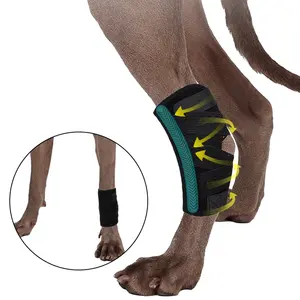 足首サポートのための犬の脚のサポート後脚ホックブレース犬の脚ブレース