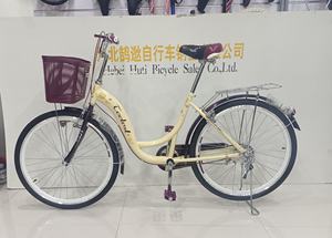 Vélo de ville classique à une vitesse, 26 pouces, en gros, acier à haute teneur en carbone, jantes en alliage d'aluminium, double siège, vélo hollandais vintage - Product Image 5