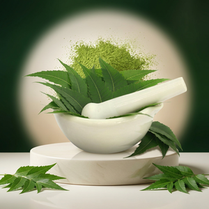 Fabricant d'extrait de neem en poudre, fournisseur en gros de feuilles de neem en poudre - Product Image 1
