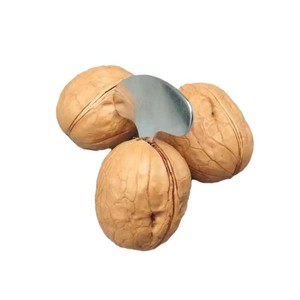 ที่เปิดเมล็ดแมคคาเดเมีย สแตนเลสสตีล รูปทรงแปลกตา สำหรับเมล็ดแมคคาเดเมียและพีแคน - Product Image 3