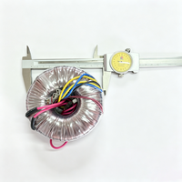 Transformateur toroïdal d'isolation entièrement en cuivre personnalisé 300W 500W 1000VA 50 60Hz 110V 240V pour amplificateur audio et systèmes sonores