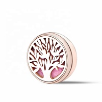 Femmes hommes broche cadeau enfant bijoux Badge personnalisé en acier inoxydable boucle magnétique médaillon aromathérapie diffuseur Clip broche