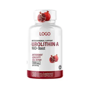 OEM Eigenmarke Urolithin A NAD+ Booster-Kapseln Nahrungsergänzungsmittel Anti-Aging 500 mg Urolithin-Kapseln