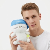 Porte-clés personnalisés OEM/ODM 10 cm, série animaux, pendentifs en peluche doux et mignons, cadeau de voyage, souvenir, vente en gros, mini porte-clés, chat de cuisine