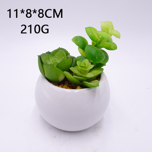 Petites Fausses <span class=keywords><strong>Plantes</strong></span> Succulentes Artificielles <span class=keywords><strong>Plantes</strong></span> en Pots Chambre Chambre Bureau Étagère <span class=keywords><strong>Salle</strong></span> <span class=keywords><strong>de</strong></span> <span class=keywords><strong>Bain</strong></span> Décor Mini Cactus en Plastique - Product Image 2