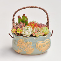 Pots de plantation créatifs modernes en céramique émaillée, écologiques et durables, pour plantes succulentes, avec trou de drainage pour une utilisation en intérieur