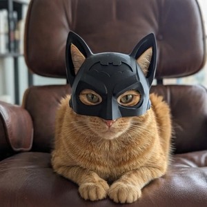 Masque de chat Daredevil Bat Cartoon 2026, cadeau d'Halloween, décoration pour chat, <span class=keywords><strong>accessoire</strong></span> pour animaux de compagnie - Product Image 1
