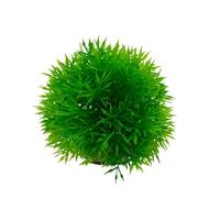 Mini décorations d'aquarium en PVC, coraux mignons, accessoires de paysage pour aquarium, type 6, petits coraux marins