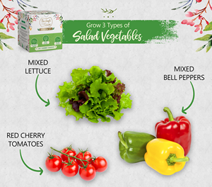 Kit de jardinage de salade unique avec pots de plantation pour légumes, épices et herbes pour pots de fleurs et jardinières - Product Image 5