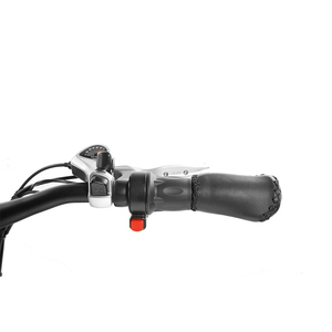 Bicicleta Eléctrica Todoterreno con Neumáticos Gruesos Kenda, Cuadro de Aleación de Aluminio, Pantalla LCD a Color, 7 Velocidades, 5 Niveles de Asistencia al Pedaleo, 48V250W, Gran Potencia, Gran Venta - Product Image 4