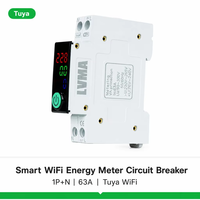 Compteur d'énergie intelligent WiFi en plastique, disjoncteur miniature (MCB) 1P+N 63A sur rail DIN, affichage numérique Tuya kWh