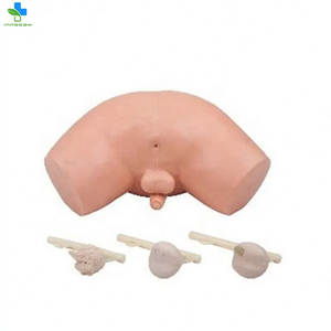 Modelo <span class=keywords><strong>de</strong></span> próstata anatómico <span class=keywords><strong>de</strong></span> PVC <span class=keywords><strong>de</strong></span> gran venta para entrenamiento <span class=keywords><strong>de</strong></span> ciencias médicas humanas en escuelas maniquí educativo para enseñanza - Product Image 4