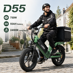 จักรยานบรรทุกไฟฟ้าระยะไกล D55 240 กม. 48V 750W ยางอ้วน 20 นิ้ว แบตเตอรี่ 55Ah จักรยานไฟฟ้าสำหรับส่งของ - Product Image 1