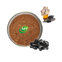 Échantillon gratuit de poudre d'extrait de Shilajit de haute qualité, naturel et pur, Asphaltum Punjabianum