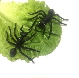 Grandes fourmis en plastique noir pour enfants Fourmi réaliste pour décorations de fête ou blagues pratiques Jouets de fête d'Halloween pour enfants - Product Image 3