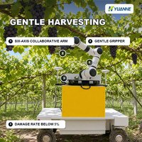 Robot agricole automatique pour la cueillette et la récolte des raisins, bras robotique collaboratif programmable par IA