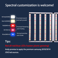 Custom Samsung UV Full Spectrum 600W 720W 800W 1500W 1200W 1000W Barra Led Grow Light para plantas de interior Tienda