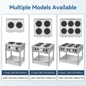 Commercial Double Burner Induction Cooker with Lower Shelf for Restaurants Food Stalls Mobile <b>Carts</b> and Equipment Dealers - Product Image 2