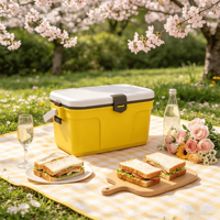 Ensemble de 24 glacières portables de 32 L, qualité alimentaire, isolation en PU 3 couches, maintien au frais 48 h pour le camping, les pique-niques et la pêche