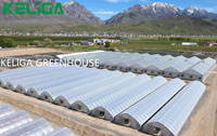 Serre photovoltaïque en verre hydroponique commercial avec système de culture de tomates grand