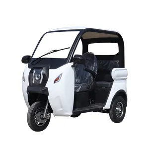 Il mio LEHU puro auto elettrica a tre ruote veicolo elettrico 3 ruote scooter elettrico per adulti triciclo