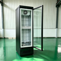Congélateur commercial 500L à porte unique pour boissons, à froid direct, équipement de réfrigération domestique pour les magasins de proximité