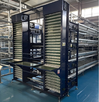 Nouvelle cage à poules de type H à télécommande, galvanisée à chaud, robuste, pour l'élevage avicole commercial à grande échelle
