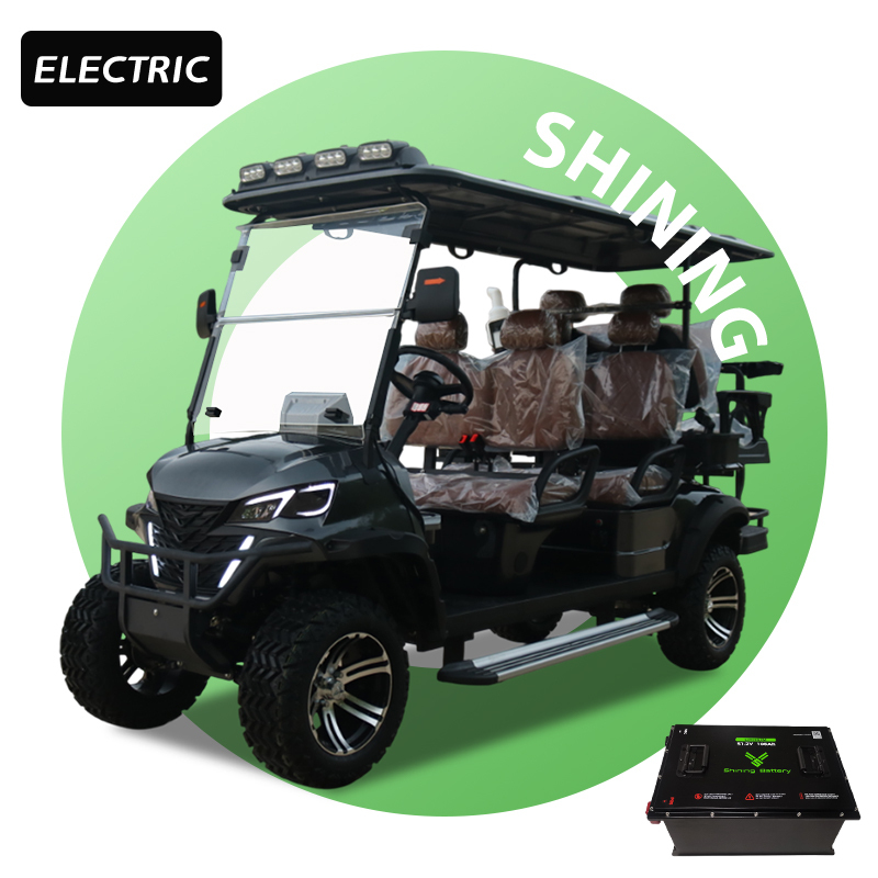 Custom 48V Lithium Battery 72V Motorised