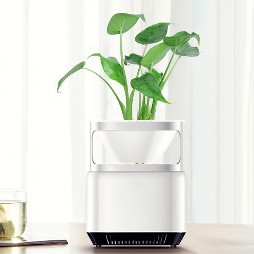 table air purifier