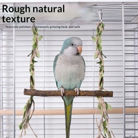 Échelle à bascule en bois pour perroquet avec jouet d'auto-entretenissement et anti-ennui pour accessoires de cage à oiseaux
