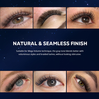 Colle à cils Gollee, nouvelle formule liquide sans alcool, sans latex, sans hydroquinone, séchage rapide, adhésif pour extensions de cils individuels, la plus forte