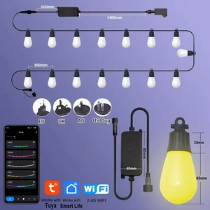 IP65 không thấm nước rgbic + W chuỗi đèn trong nhà/ngoài trời giáng sinh trang trí ứng dụng điều khiển với bên ngoài mờ S14 đèn - Product Image 2