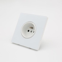 Prise murale industrielle française 220V 1 prise ignifuge en verre trempé IP22 10A de haute qualité BENDI C20 avec port USB pour la maison