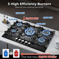Kompor Gas 30 Inci 5 Tungku Propana NG/LPG Konvertibel Terpasang Kaca Temper Hitam dengan Perlindungan Termokopel 36766 BTU