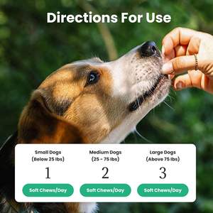 Probióticos para Mascotas OEM ODM Privados para Perros con Prebióticos, Promueven un Microbioma Intestinal Equilibrado, Refuerzan la Salud Inmunológica, Masticables Suaves - Product Image 5