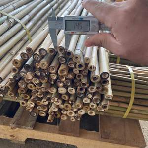 Tube de poteau en bambou traité durable de Moso du Vietnam pour le cadre de meubles et la décoration à la maison de l'usine directe - Product Image 1