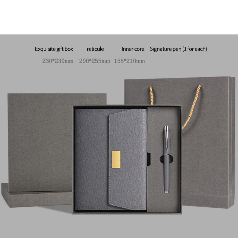 Conjunto de pluma gris