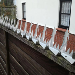Buen Rendimiento <span class=keywords><strong>de</strong></span> Protección Anti Climb Spikes Large Shark Tooth Wall Spike para Security Wall Spikes - Product Image 3