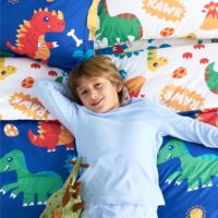 Ensemble de literie pour enfants personnalisé avec motif de dinosaure de dessin animé, en coton, design réversible, respirant, certifié Oeko-Tex, pour chambre d'enfant, OEM ODM