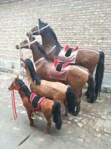 Modèle de jambe de cheval, avant et arrière - Product Image 3