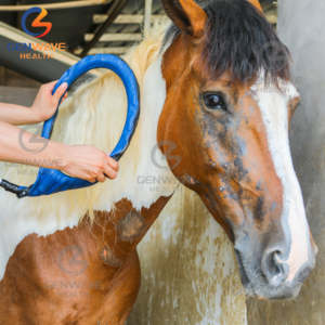 Máquina de terapia de caballos Máquina de animales Máquina de terapia magnética Pemf Loop Pemf Gauss Soporte para condiciones crónicas - Product Image 4