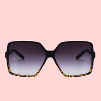 Lunettes de soleil tendance pour femmes, monture PC, verres AC, protection UV400, style rétro, accessoires pour photos de rue, cadeau