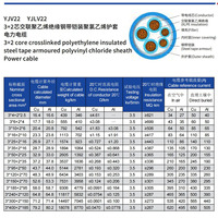 YJV22 0,6/1,0 kV CU/XLPE/PVC Kupfer 25mm 35mm 50mm 70mm 95mm 120mm 150mm 185mm 240mm 300mm 2-adriges Stahlband-Panzer kabel