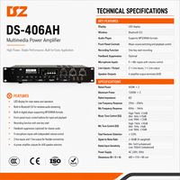 Amplificateur de karaoké professionnel DSZ DS-406AH 600W 60Hz-18KHz avec boîtier métallique pour salles de conférence et centres de formation