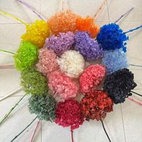Hydrangées à grandes feuilles préservées de haute qualité, fleurs d'hortensia naturelles séchées rose pâle, blanc, rouge, grandes et réelles