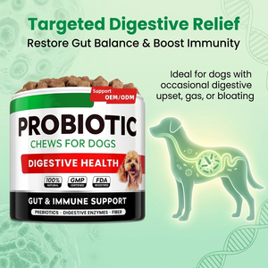 Probióticos para mascotas para perros, enzimas digestivas, tratamiento para la salud intestinal, masticables, alivio antidiarrea, suplemento de fibra prebiótica, probióticos para perros - Product Image 4