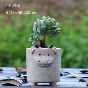 Fournir un <span class=keywords><strong>Pot</strong></span> <span class=keywords><strong>de</strong></span> <span class=keywords><strong>fleur</strong></span> <span class=keywords><strong>succulente</strong></span> en céramique <span class=keywords><strong>de</strong></span> forme animale - Product Image 5
