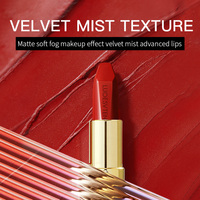 Rouge à lèvres hydratant naturel à texture velours, couvrance totale, anti-transfert, tenue longue durée, beauté et mode
